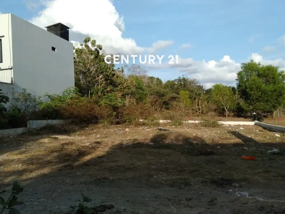 Dijual Kavling Potensial Untuk Investasi Di Bali Va 19513
