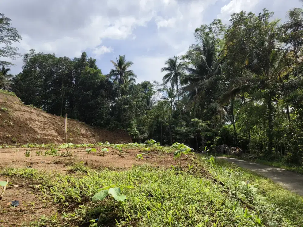 TANAH PEKARANGAN PRODUKTIF 160 UBIN