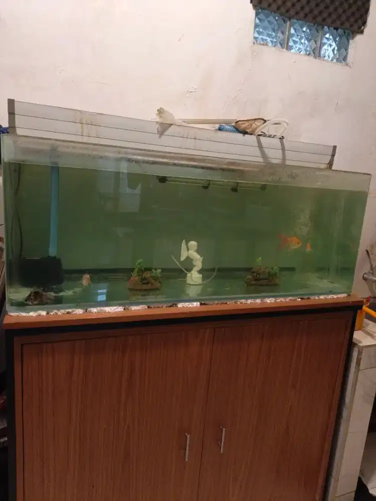 Aquarium lengkap