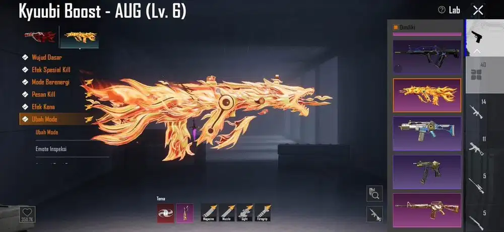 AKUNPUBG AUG KYUBI