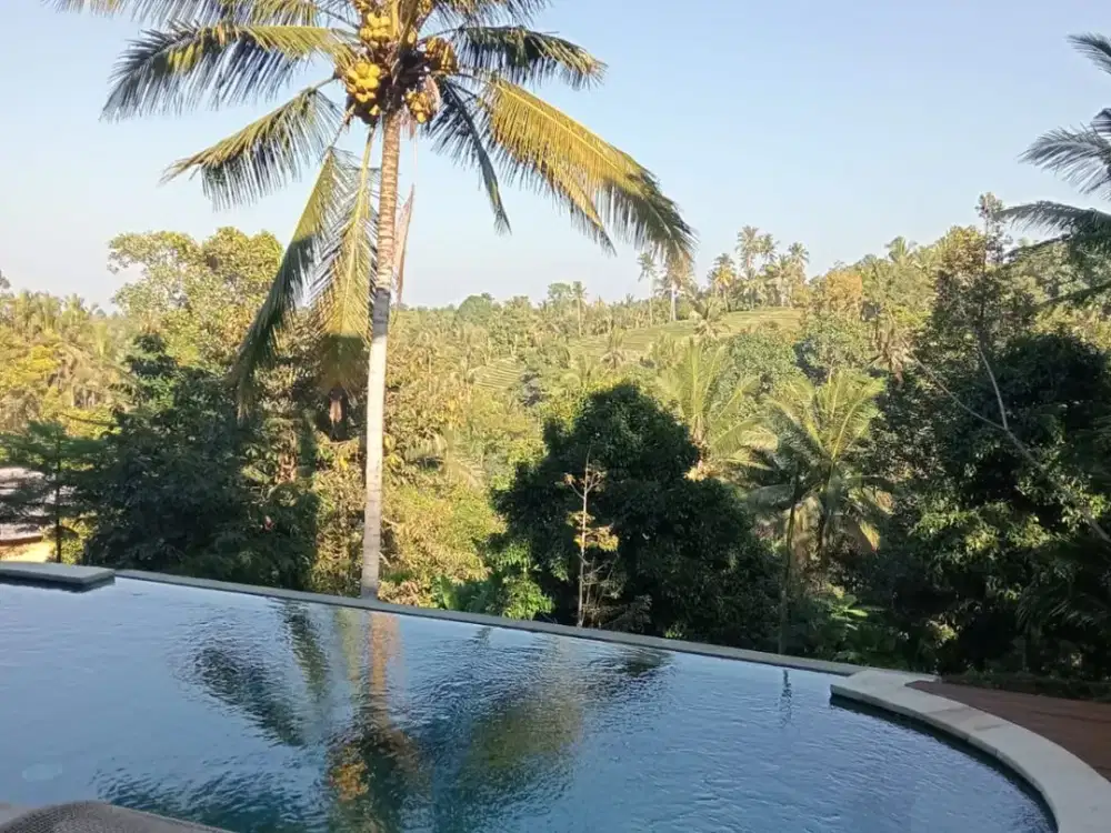 Dijual Villa Eksklusif View Sawah yang Asri