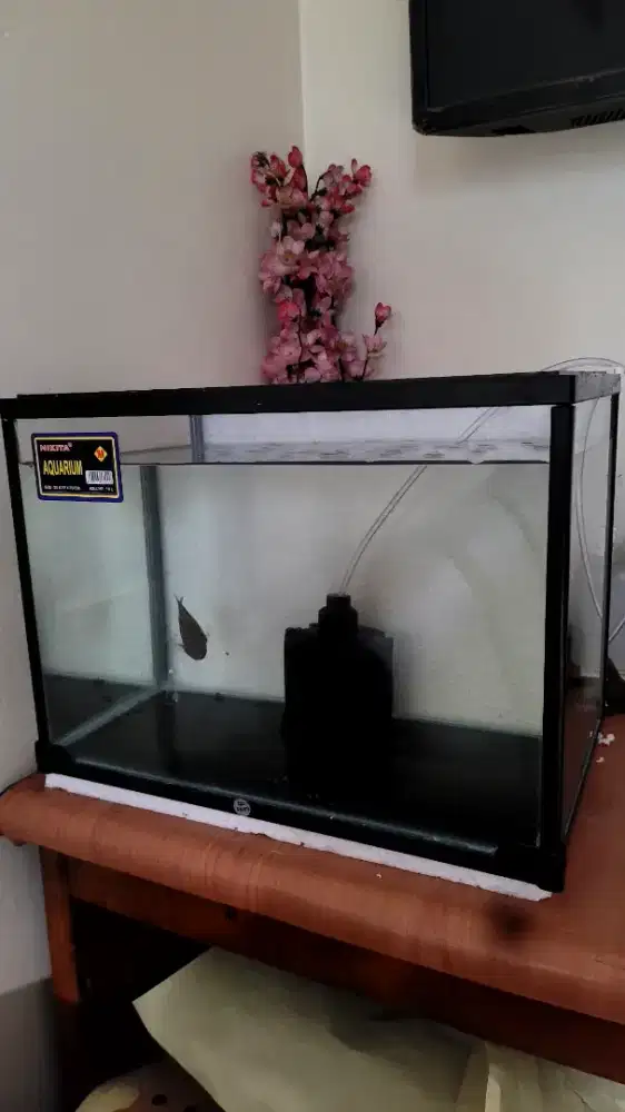 Aquarium nikita aklirik