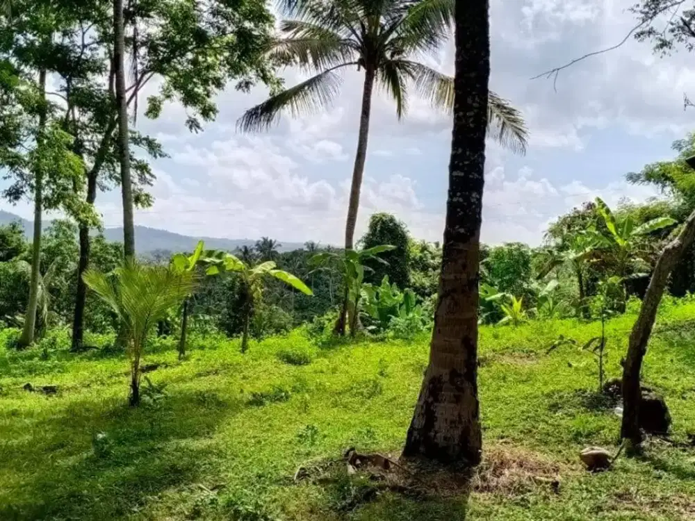 Dijual Tanah Perkebunan View Perbukitan di Antosari