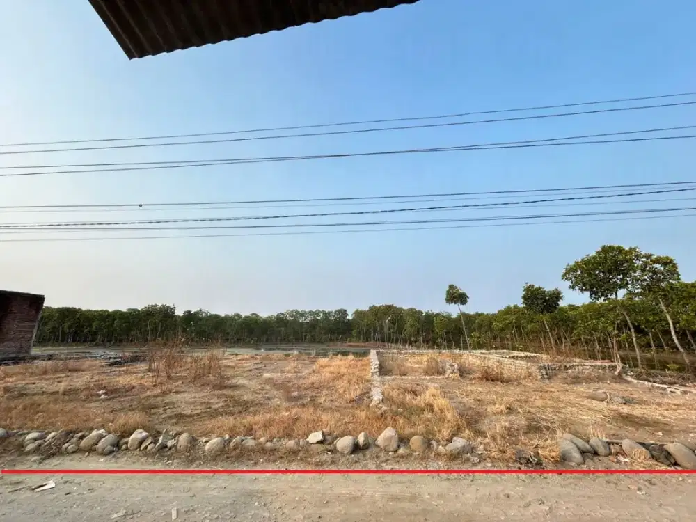 Tanah Muarareja Tegal Barat Siap Bangun