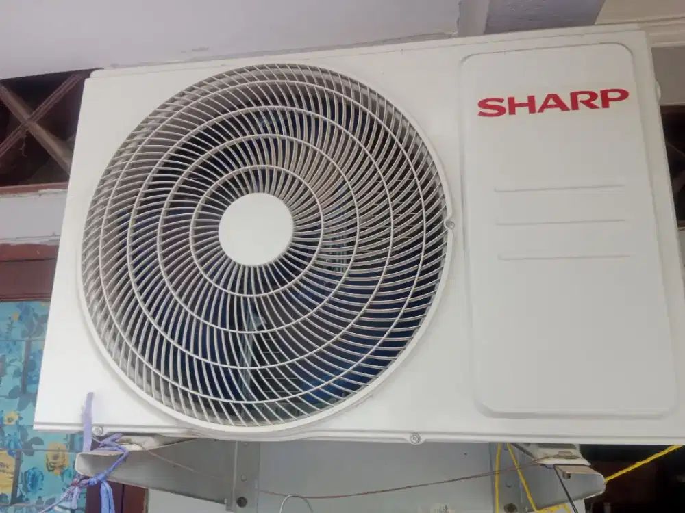 AC Sharp 1/2 PK