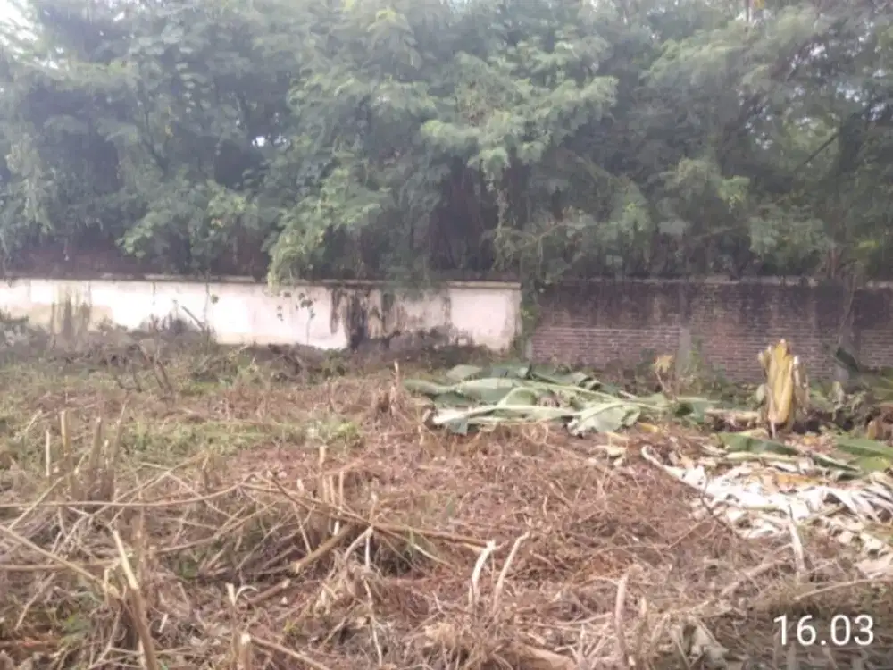 LIE.A141 JUAL TANAH MURAH AREA JALAN RAYA MENUR SURABAYA PUSAT, HADAP TIMUR