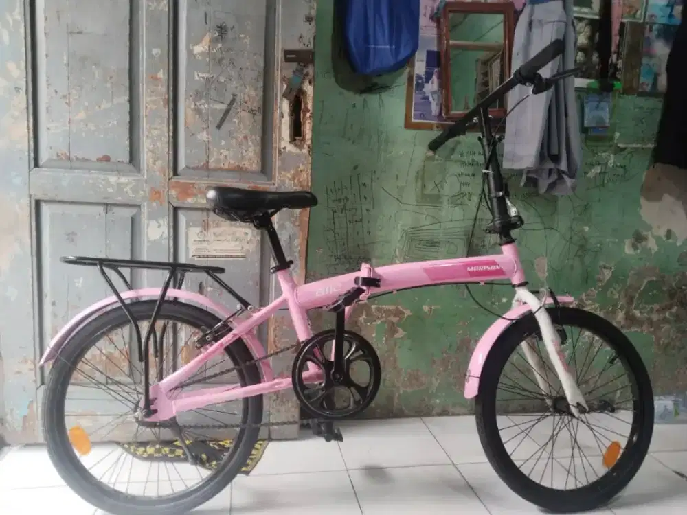 Sepeda Baru Anak Cewe