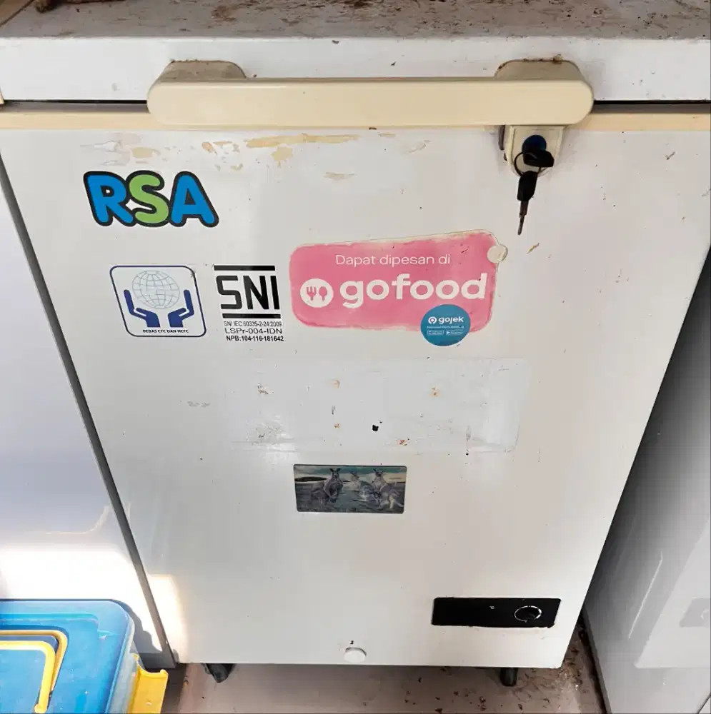 Freezer RSA cf100