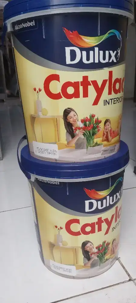 Cat Dulux Yellow Sunset