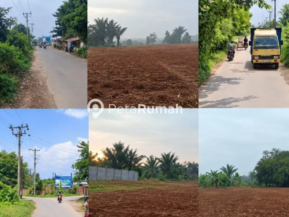 DIJUAL TANAH JALAN JALAN BESAR LIMAU MANIS   - DELI SERDANG (HANNY