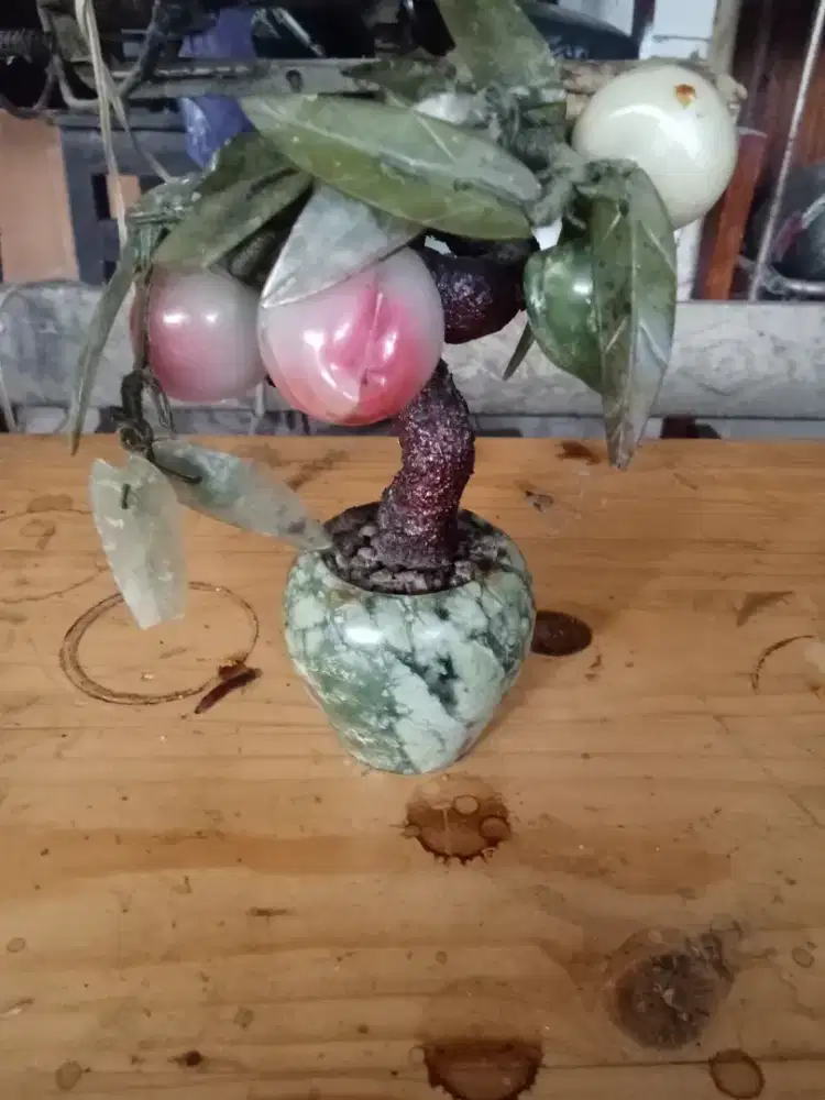 Pohon mini batu giok.