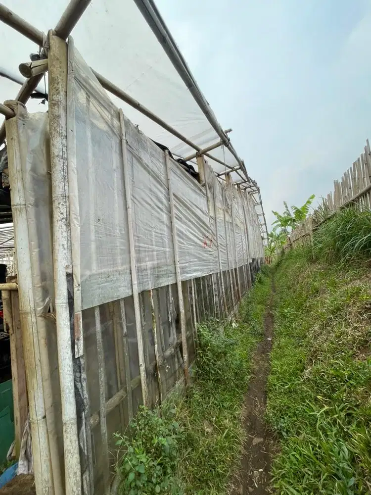 Dijual Tanah 2017 meter persegi di pasirlangu cisarua bandung barat