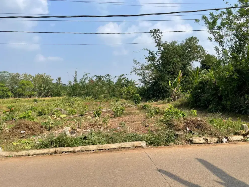 Tanah Kavling Cisauk - SHM 100Jtan - Pinggir Jalan Dekat Stasiun Jatake
