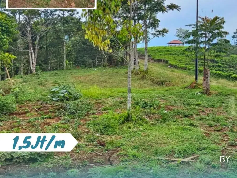 Tanah Pekarangan di Kemuning, Ngargoyoso, Karanganyar