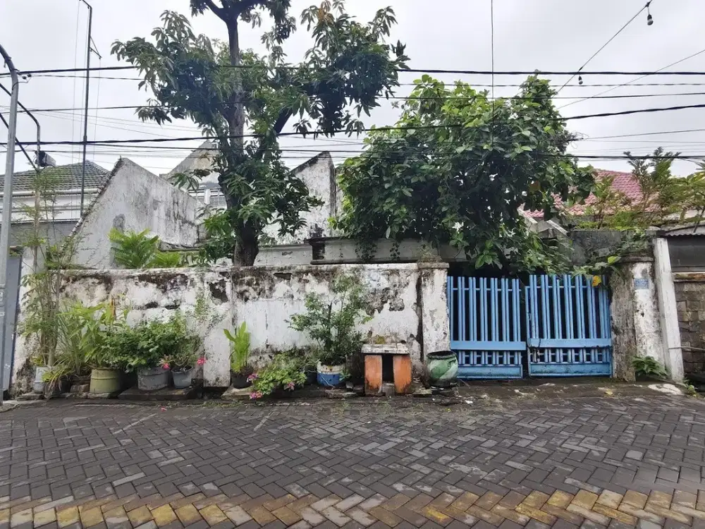 Rumah Rumah Hitung Tanah Ploso Timur , Hadap, Row 2,5 Mobil