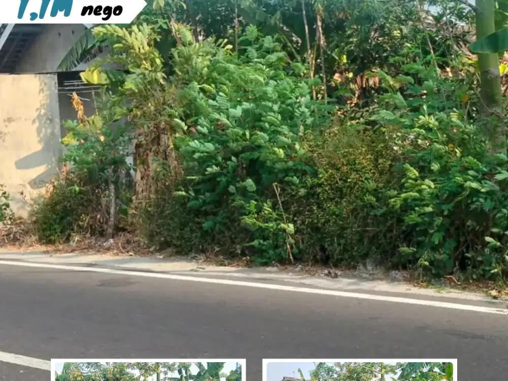 Tanah Pekarangan di Kwoso, Gergunung, Klaten Utara