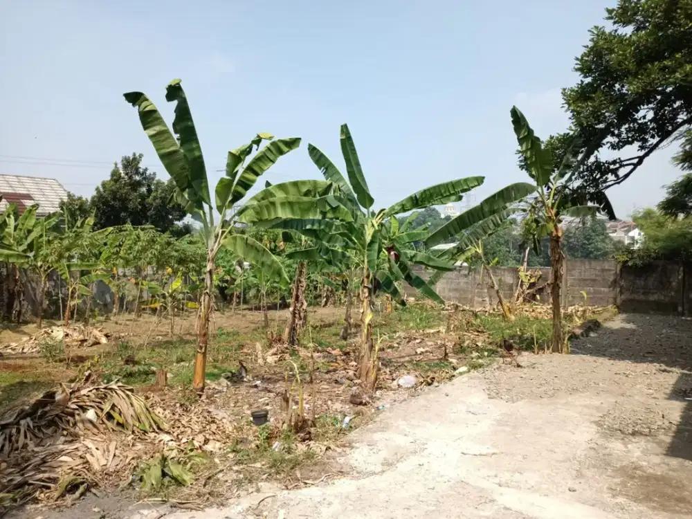 Tanah SHM 500Meter  Depok Dekat The Park Sawangan