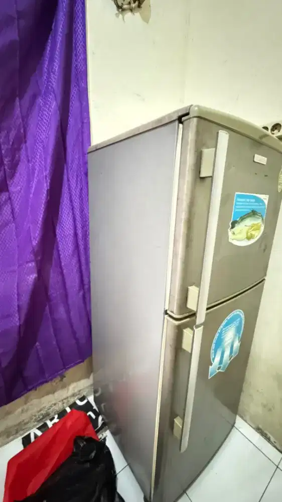 Jual kulkas ELECTROLUX 2 Pintu