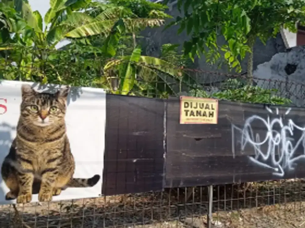 tanah dijual ketintang madya surabaya