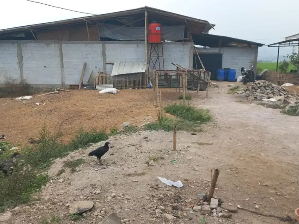 KAVLING LUAS STRATEGIS COCOK UNTUK GUDANG SIAP BANGUN DI CIPARAY BANDUNG