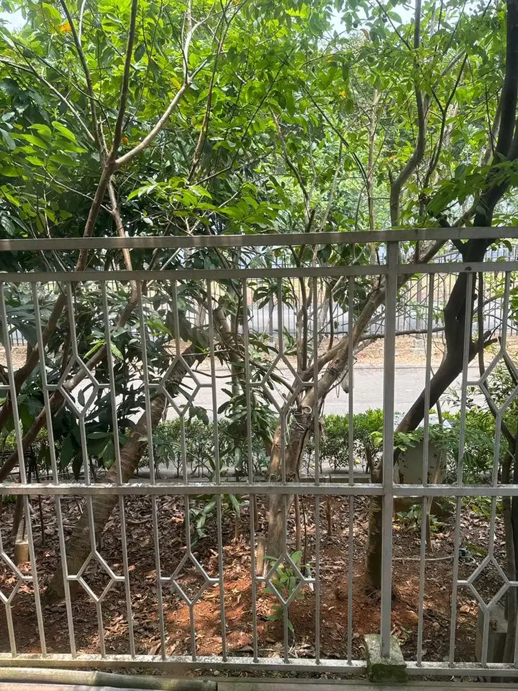 Dibutuhkan Asisten Rumah Tangga