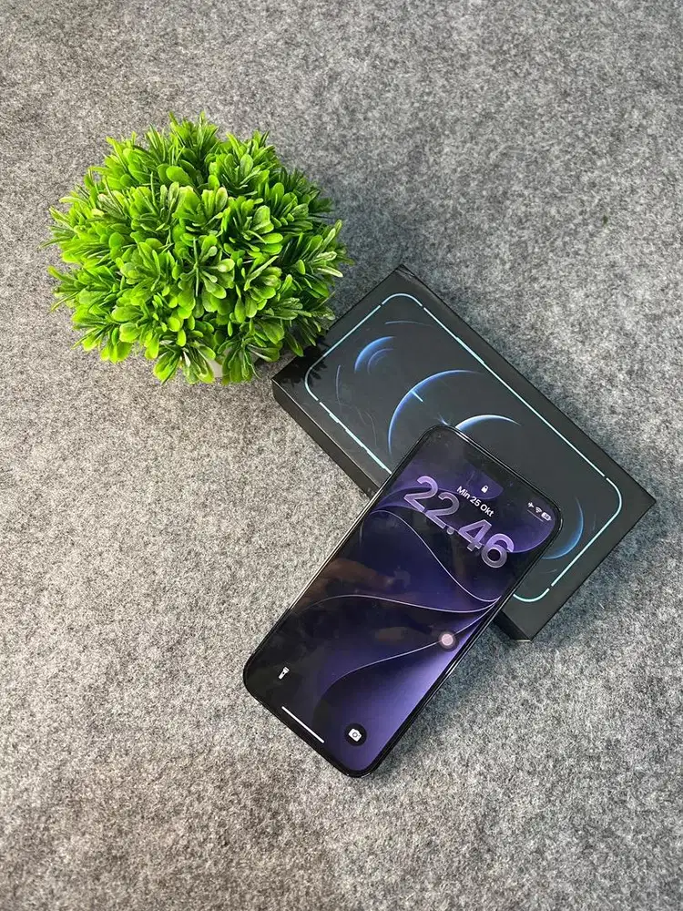 Iphone 12 Pro 256Gb Ex Inter