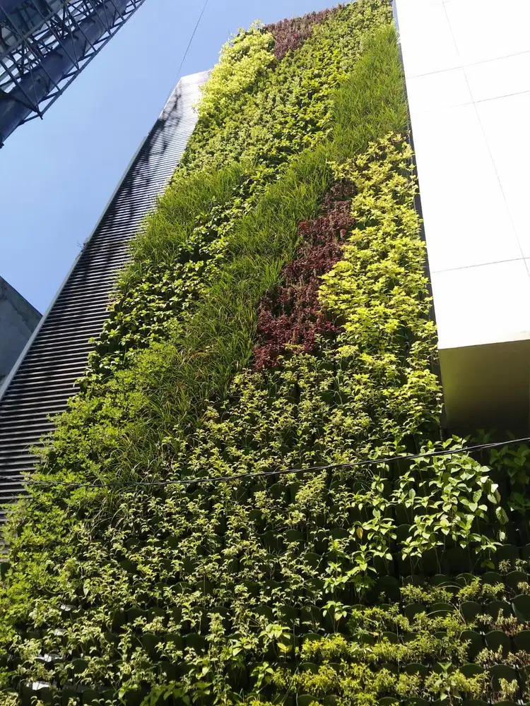 Green wall vertical garden surabaya