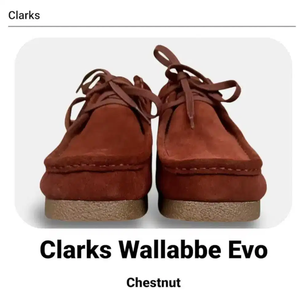 Wts sepatu Clarks EVO Original