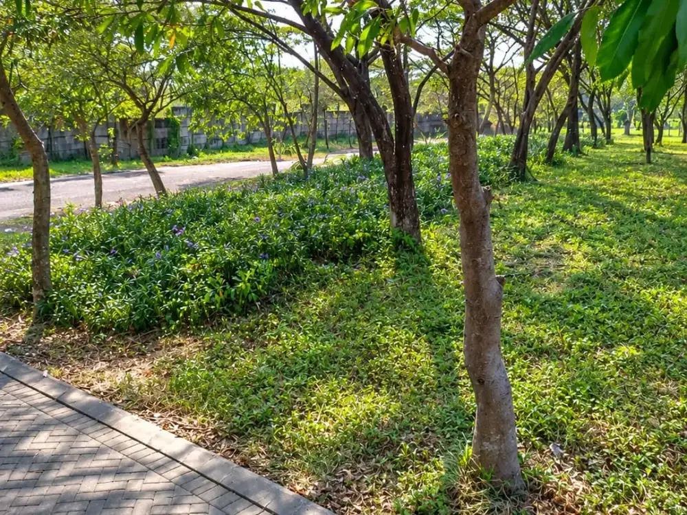 DIJUAL KAVLING TANAH CITRALAND BUKIT GOLF INTERNASIONAL
