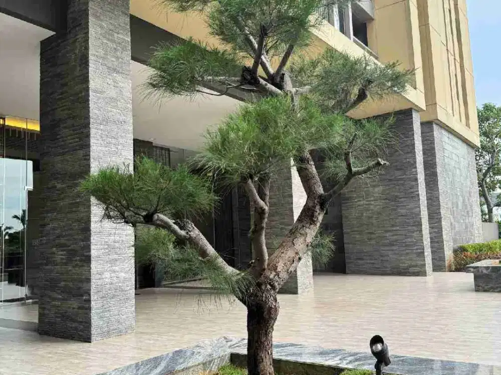 SEWA Apartment BRANZ BSD