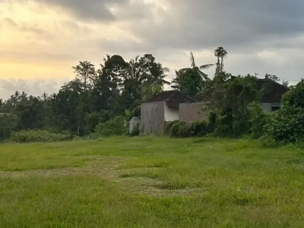TANAH 46 ARE DI KERAMBITAN TABANAN COCOK UNTUK VILLA