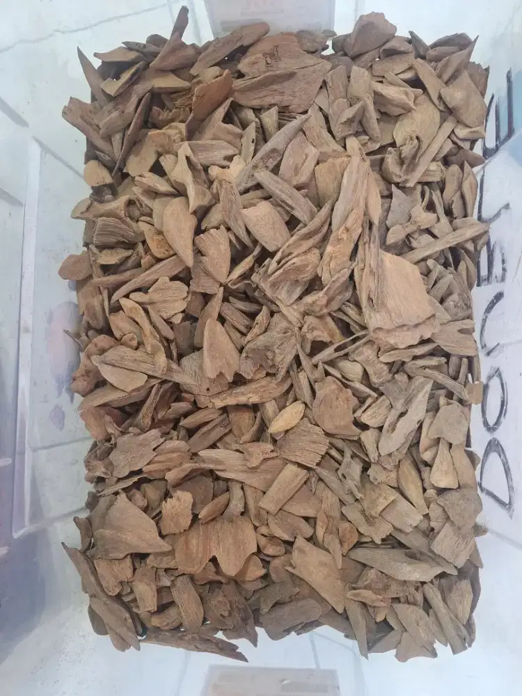 Dijual Kayu Gaharu Mini Double Class Original, Yahukimo Papua.