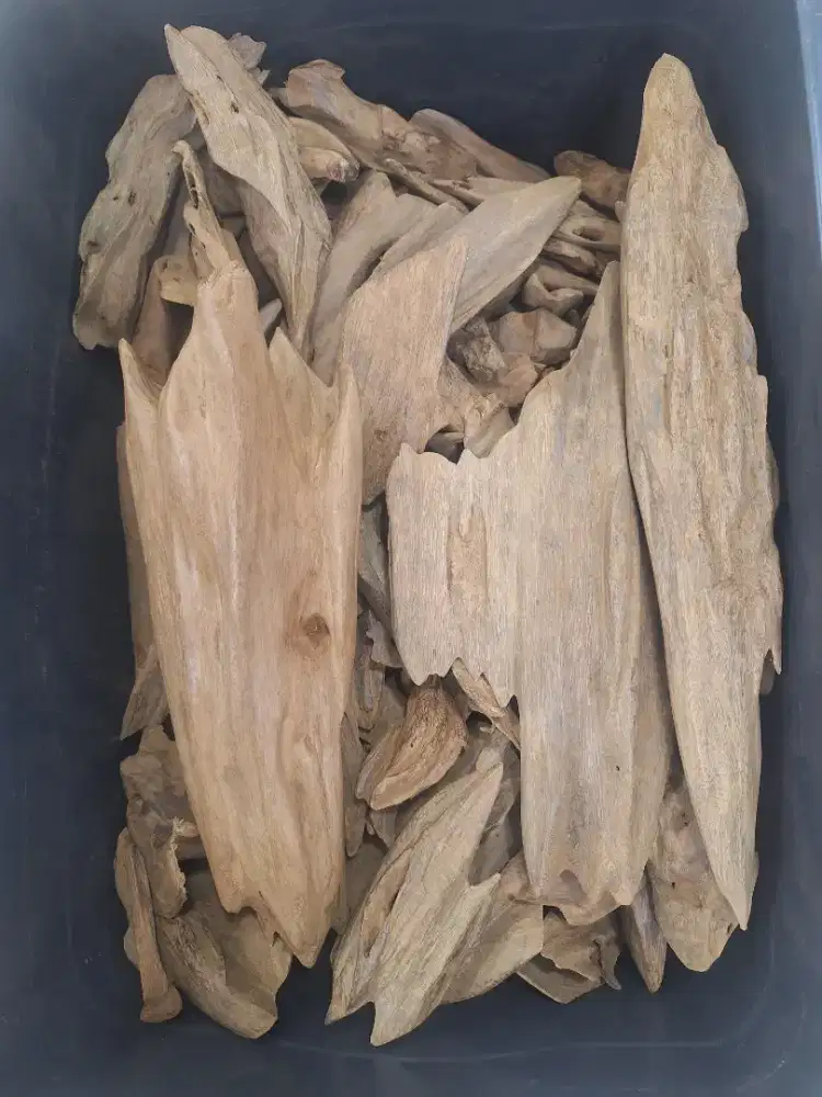 Dijual Kayu Gaharu Triple Class Original, Asgon Merauke Papua.