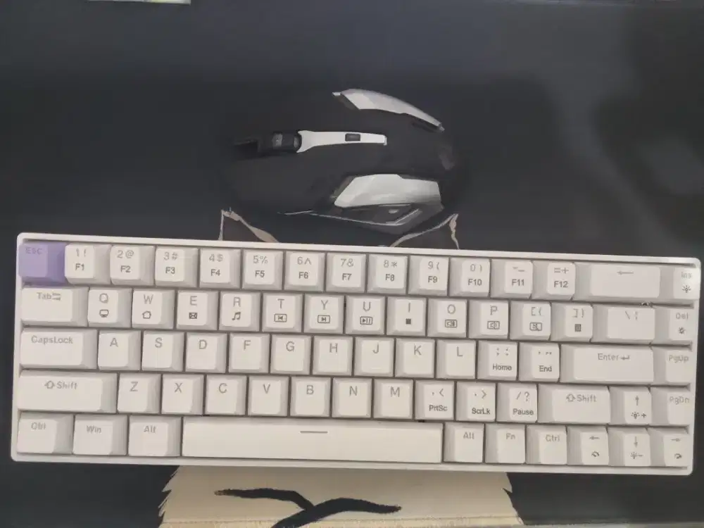 Keyboard dan mouse