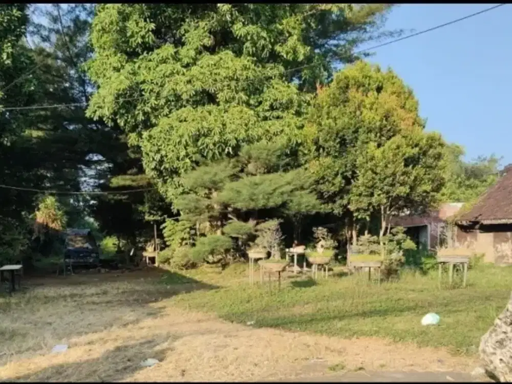 TANAH DI JALAN PANTURA KRATON SURABAYA LOKASI STRATEGIS O JALAN RAYA