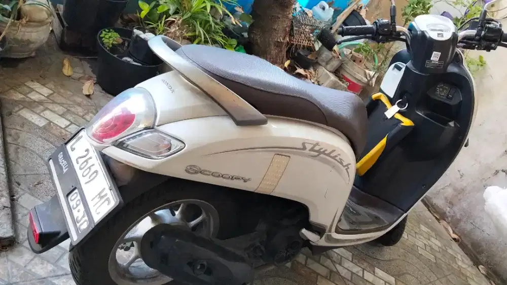 Scoopy Stylish 2020