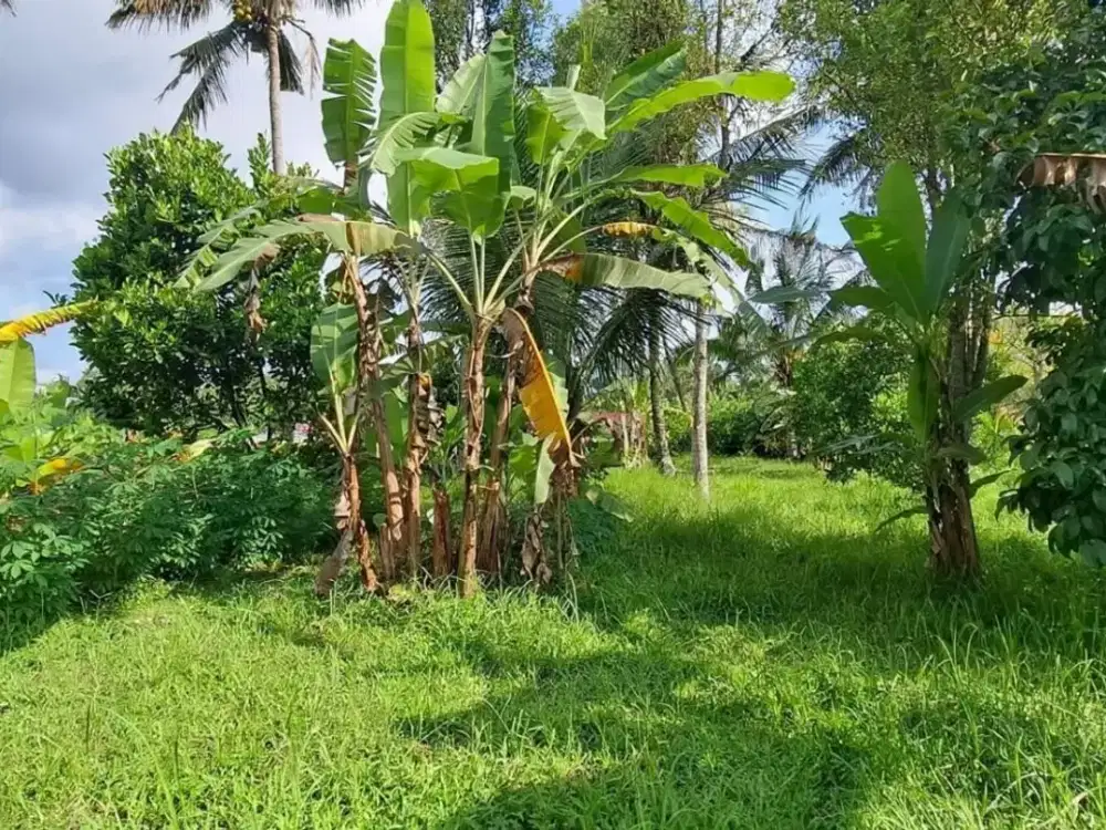 Dijual Tanah Super View Gunung Akses Jalan Aspal Hotmix