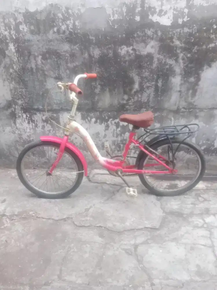 Sepeda anak wim cycle ukuran 20