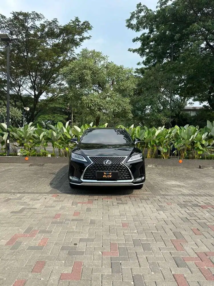 Lexus RX 300 Luxury Facelift 2022