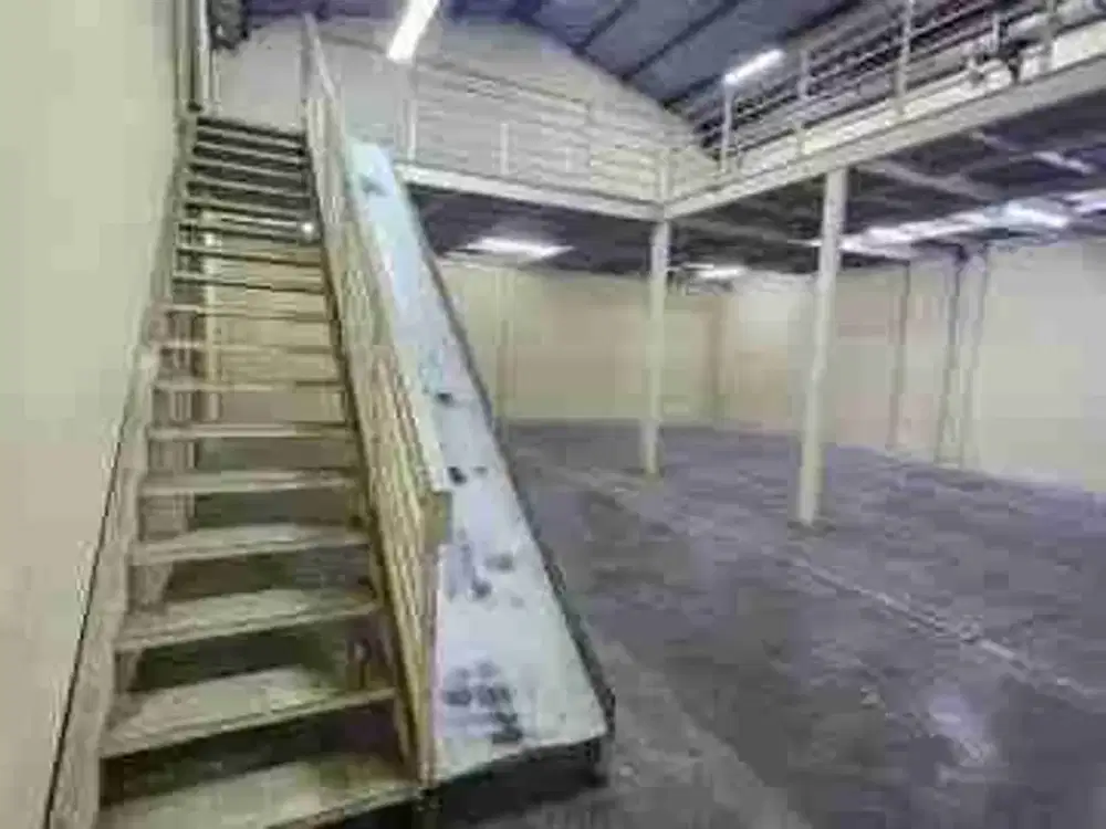 gudang elang laut 10x26  pik