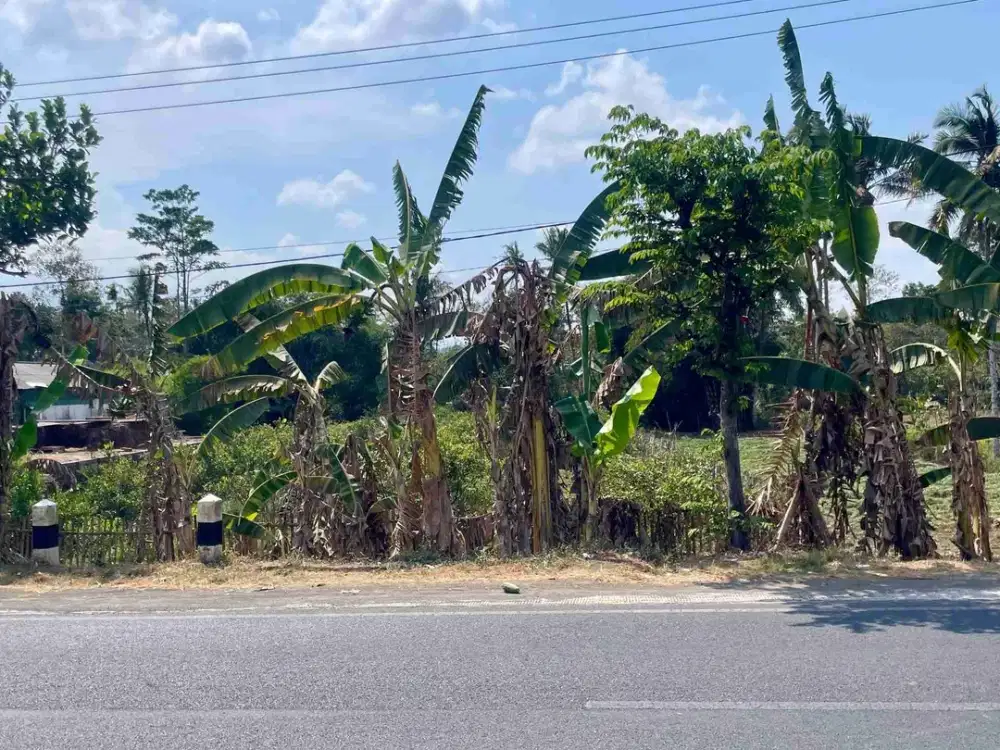 Tanah Poros Provinsi di Jalan Suropati Wajak Malang