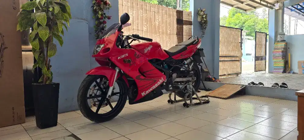 Ninja RR Old 2011