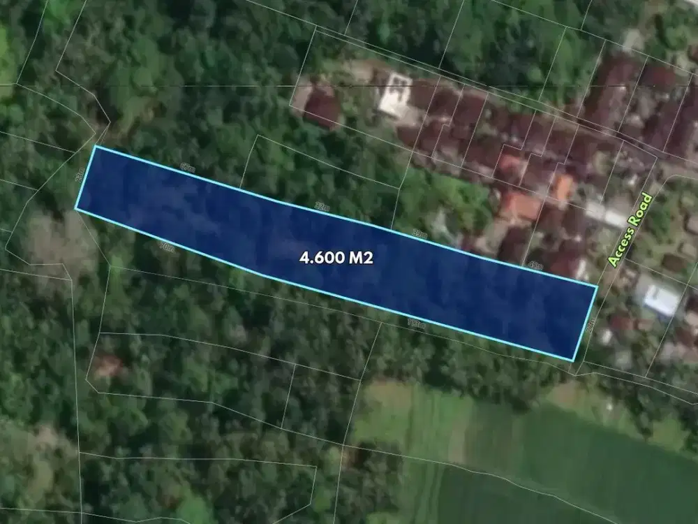 4,600 sqm (46 Are) Freehold Land Plot for Sale in Sembung Gede, Kerambitan