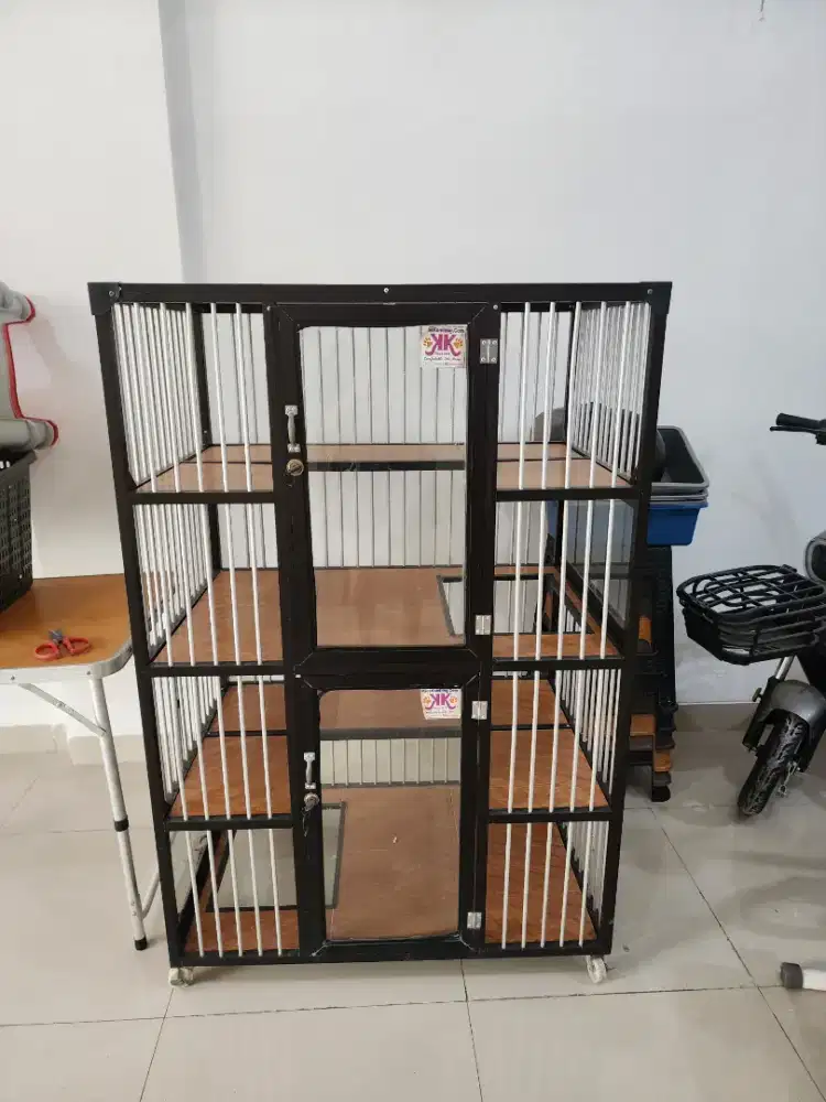 Kandang bekas kucing