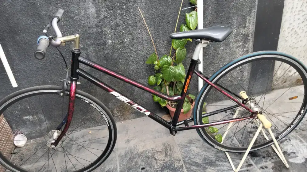 Sepeda fixie frem federal women
