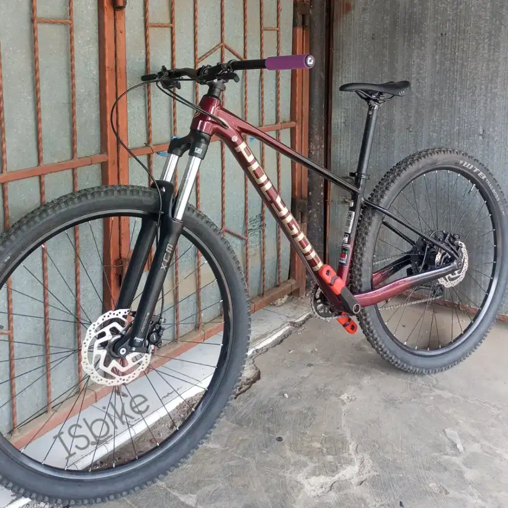 Polygon Xtrada 5 2026