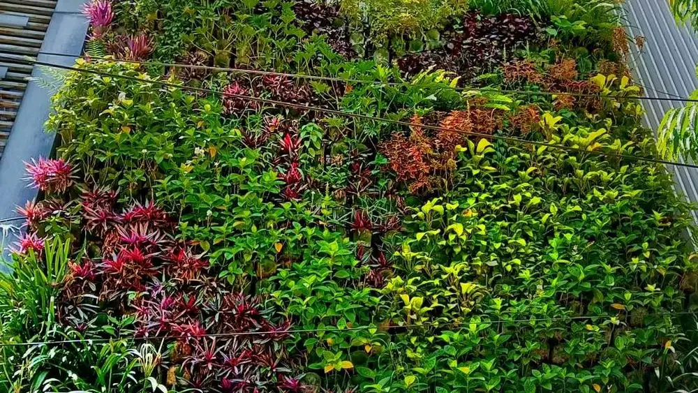 Supplier Kaca film, greenwall, lampu led