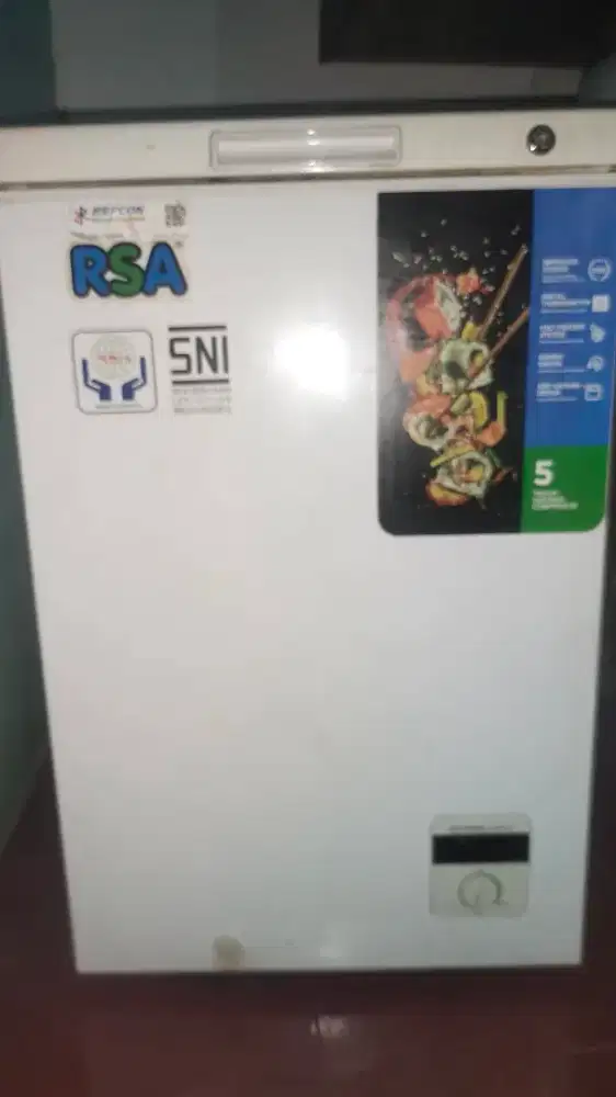 Frezzer merk RSA 100L