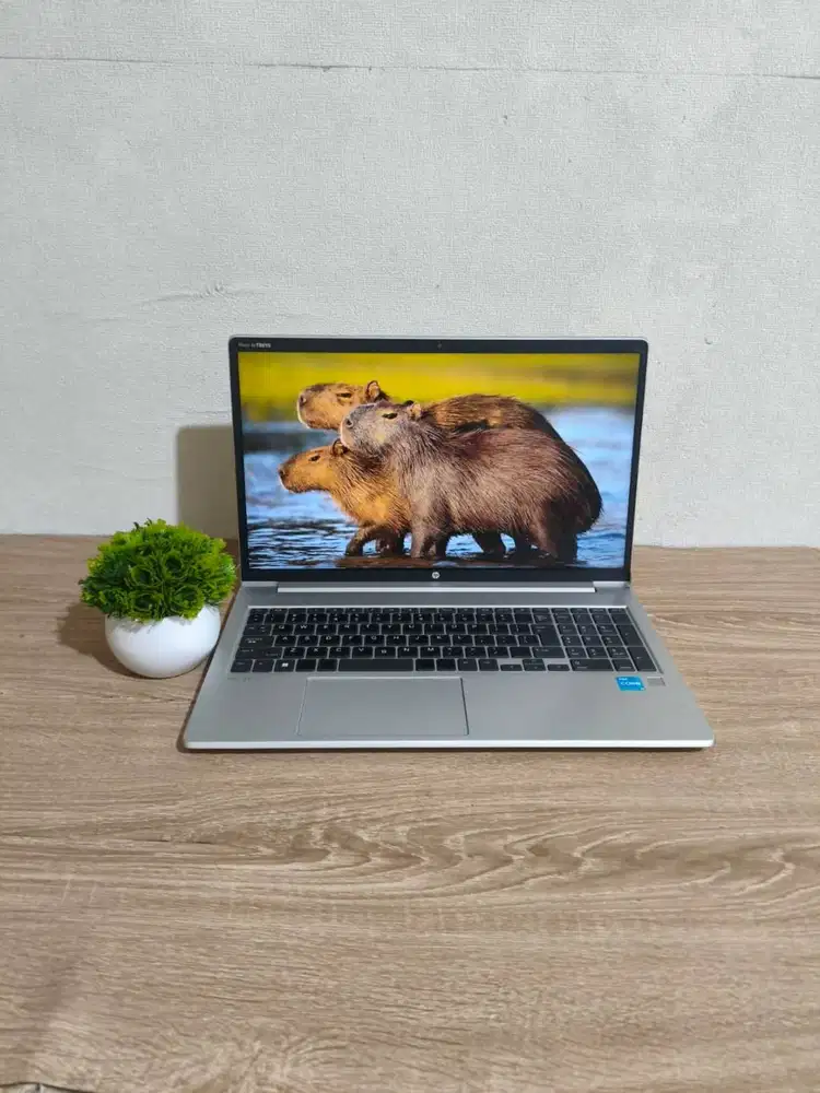 Laptop HP Probook 450 G9 Core i3 gen 12 ⁠RAM 8/256 layar 15 inch