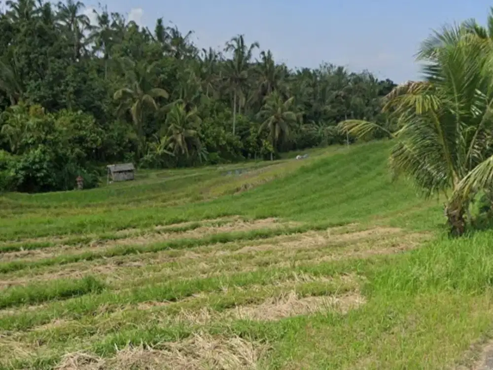 Dijual Tanah Cocok untuk Bangun Villa dengan View Gunung